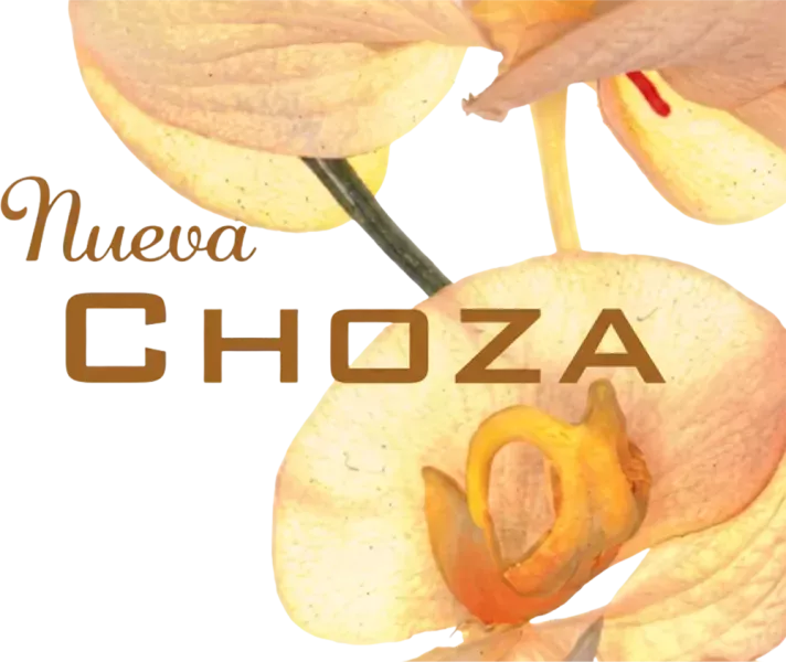 Nueva Choza, restaurante para bodas y eventos cerca de Valladolid