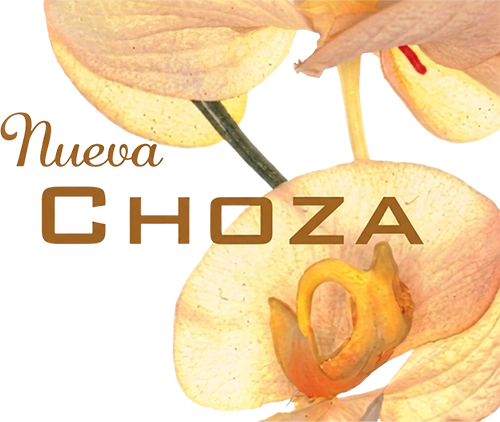 RESTAURANTE NUEVA CHOZA
